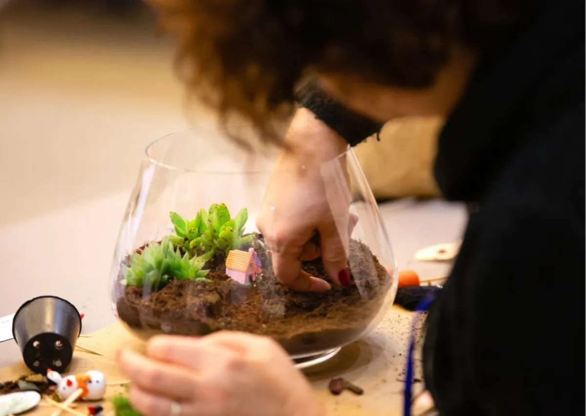 Créez votre grand terrarium