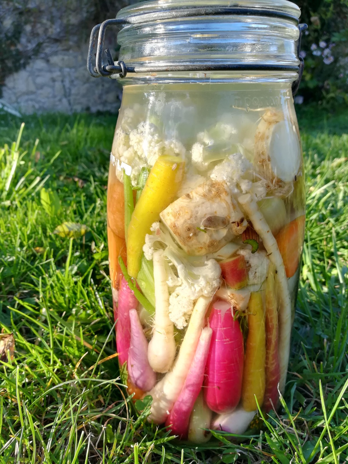 Découvrez la lactofermentation