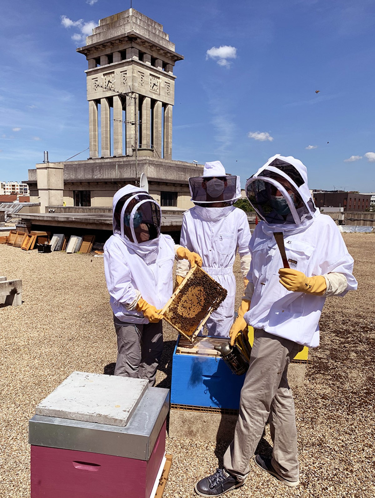 Découvrez l'apiculture sur le toit de la mairie