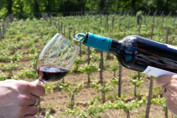 Découvrez la viticulture biodynamique