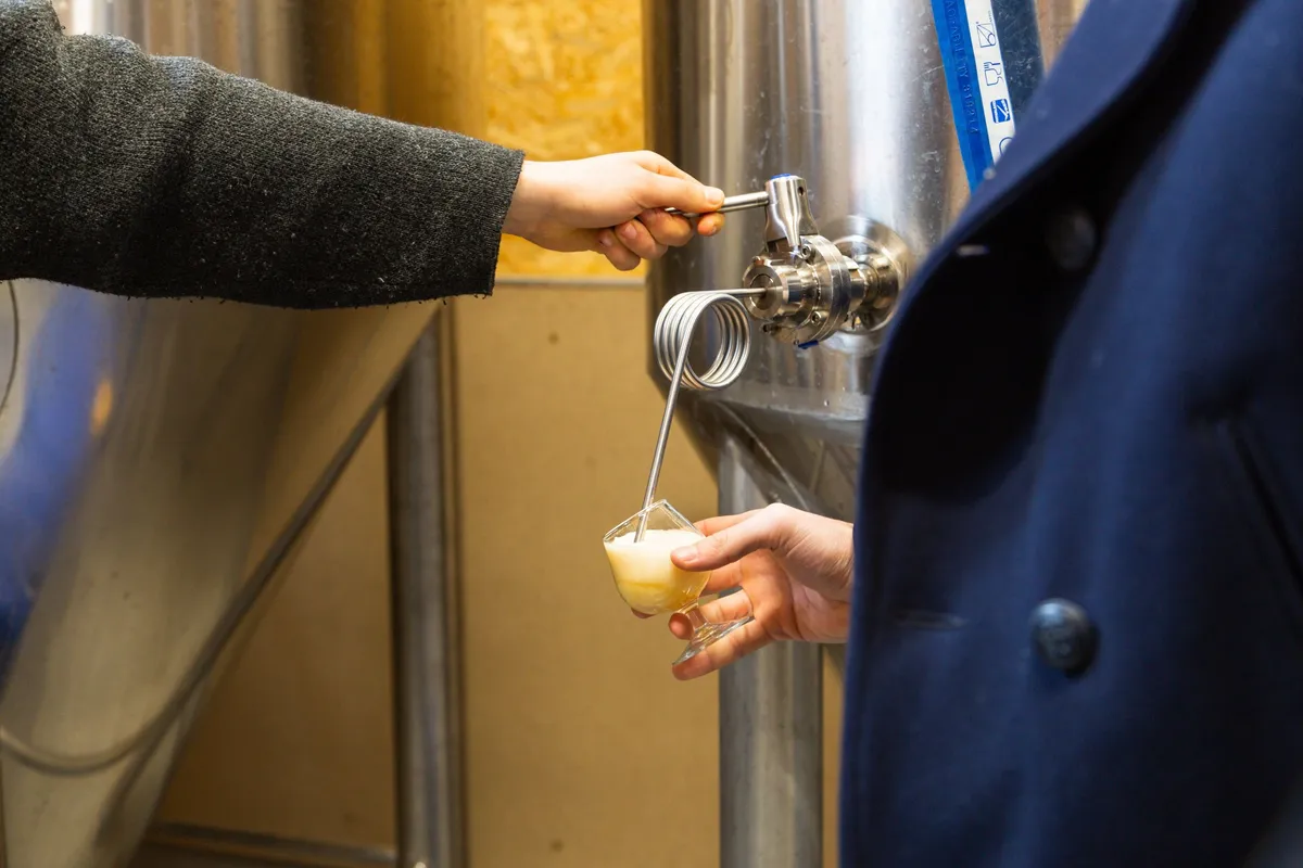 Dégustez des bières en visitant une micro-brasserie