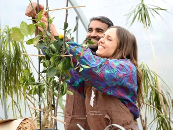 Prenez soin de votre plante par le tuteurage