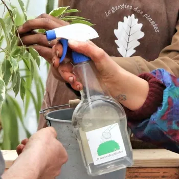 Créez un remède biologique pour soigner votre plante