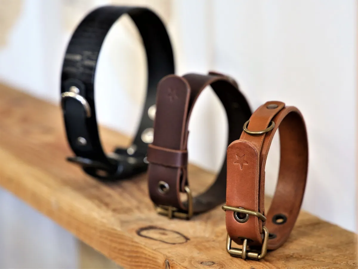 Réalisez le collier en cuir de votre animal