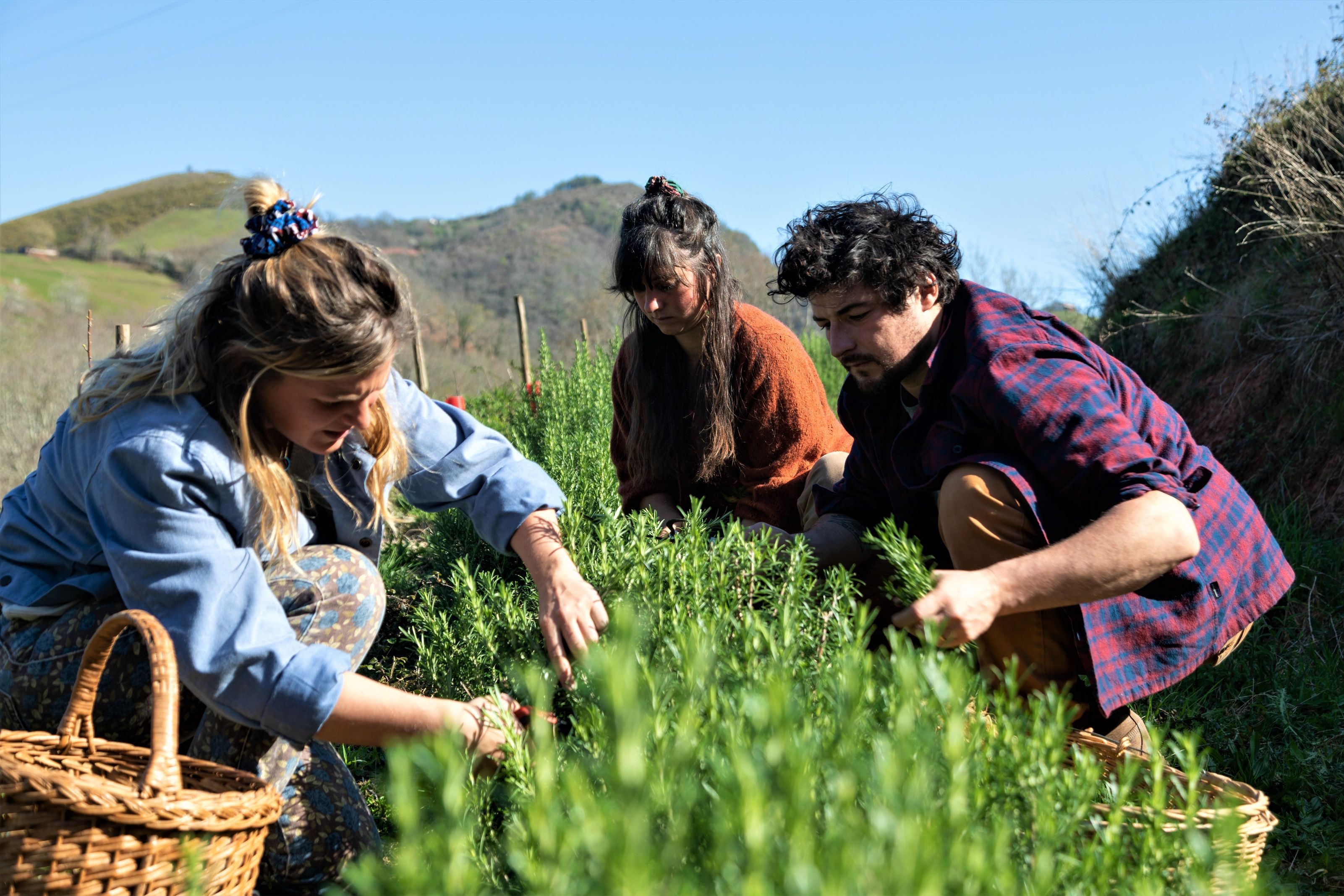 Découvrez la vie de paysanne herboriste