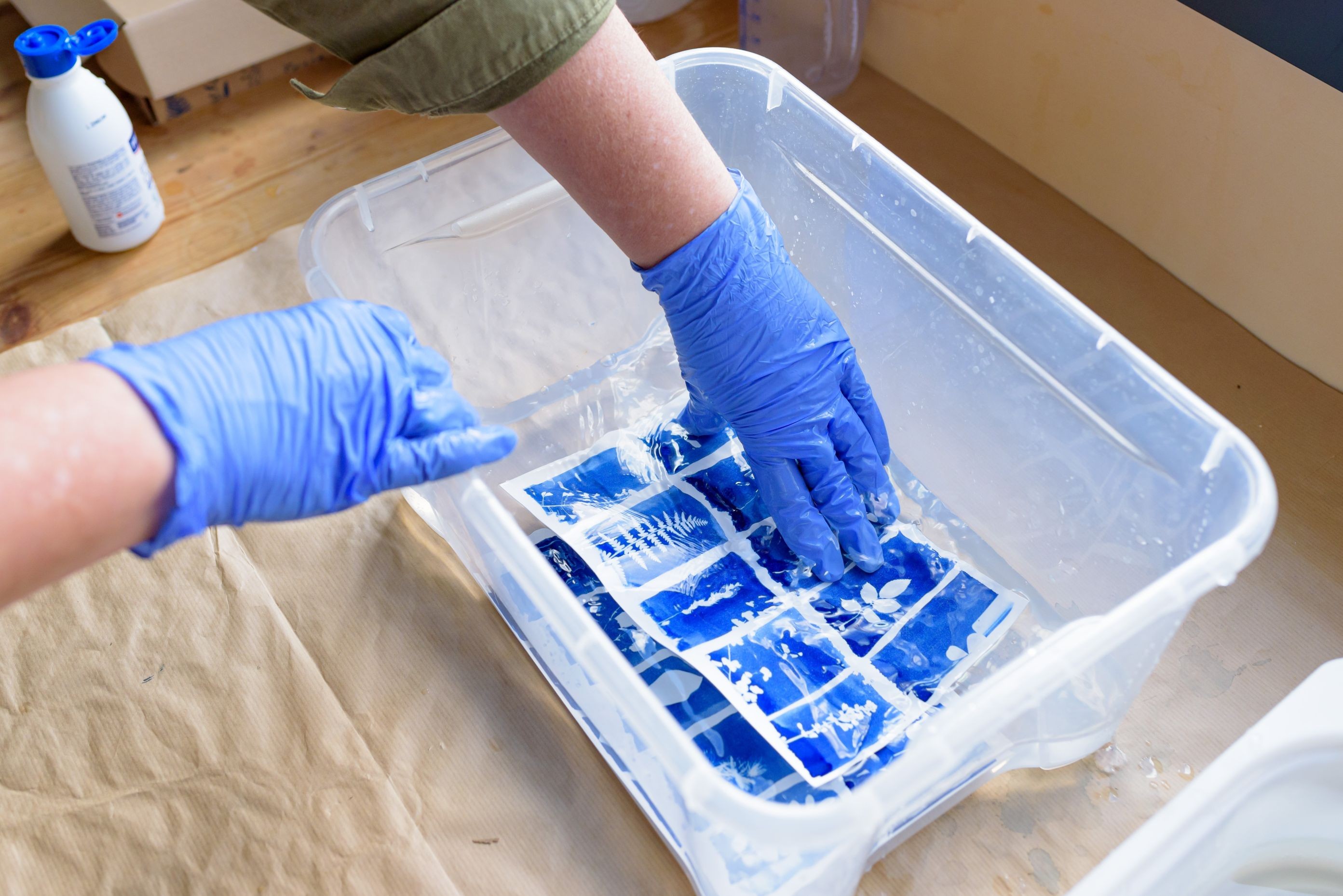 Initiez-vous au cyanotype