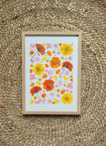 Créez votre herbier fleuri