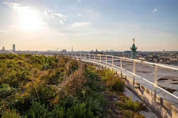 Découvrez le maraîchage urbain