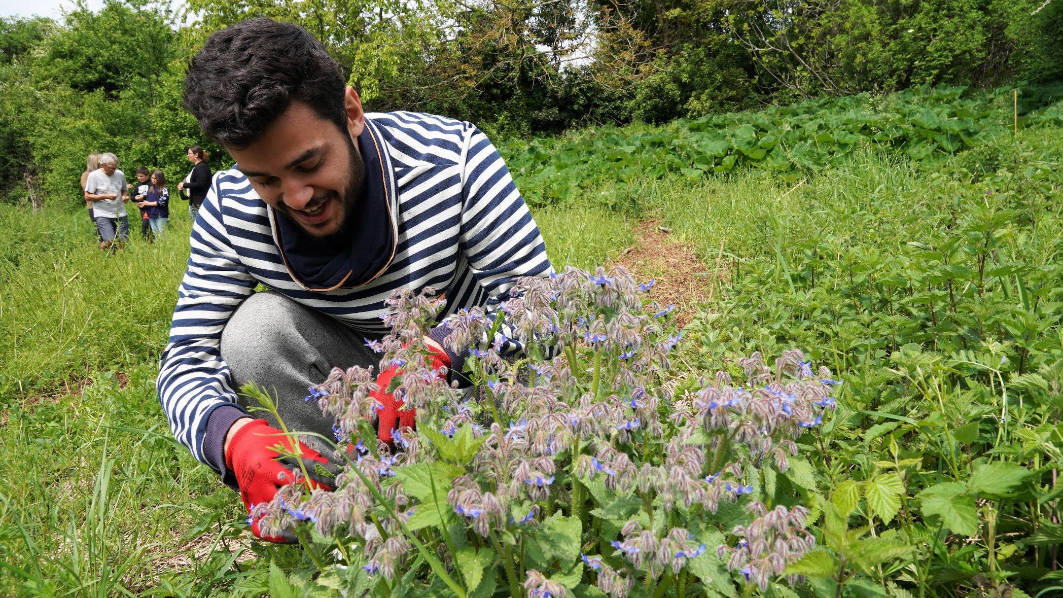 Réalisez votre repas et pâté végétaux in Lyon