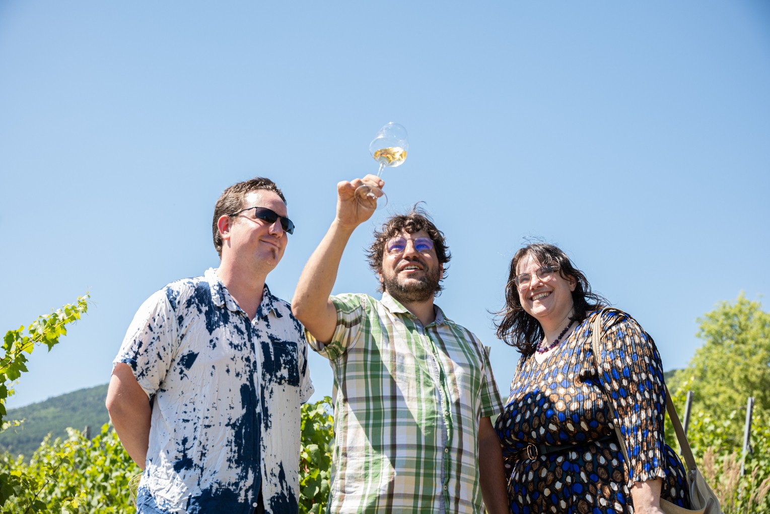 Dégustez des vins alsaciens dans un vignoble bio à Colmar
