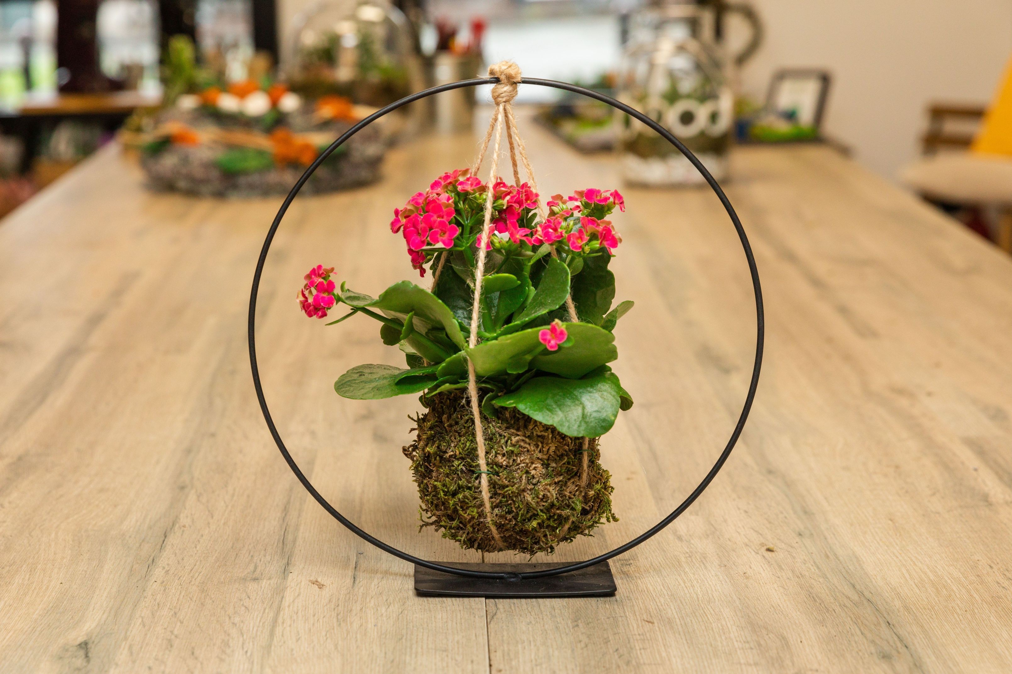 Réalisez votre kokédama floral