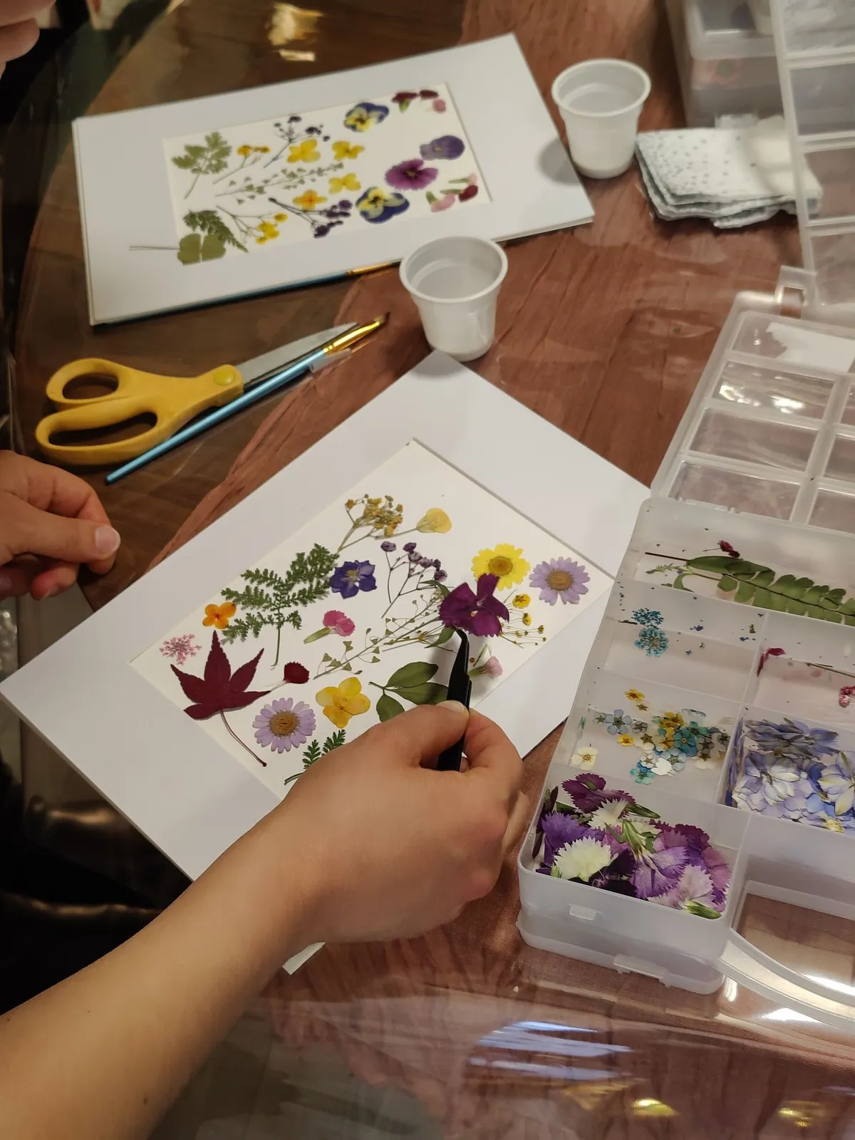 Réalisez votre herbier en fleurs séchées