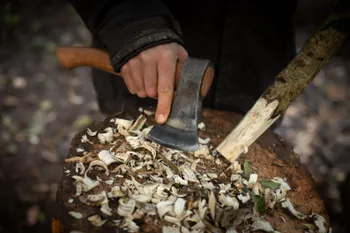 Découvrez l'art de la sculpture sur bois vert