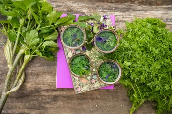 Immergez-vous dans le monde des plantes sauvages