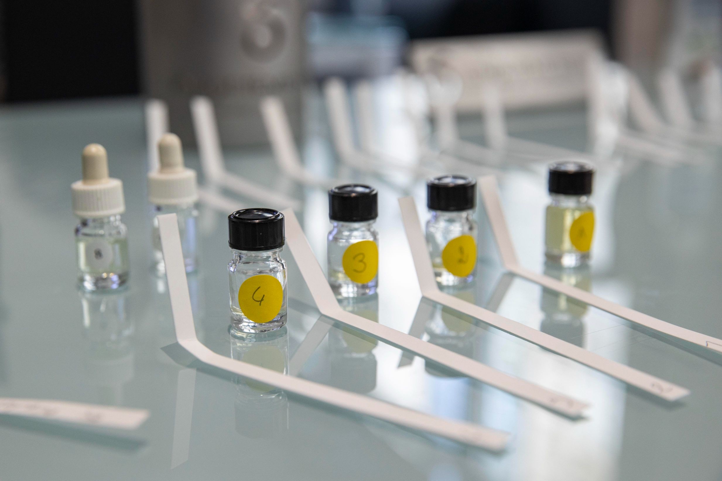 Créez votre parfum en groupe