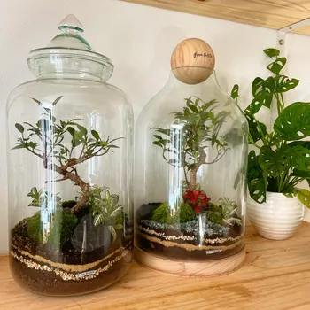 Wecandoo - Composez votre terrarium à 4 mains