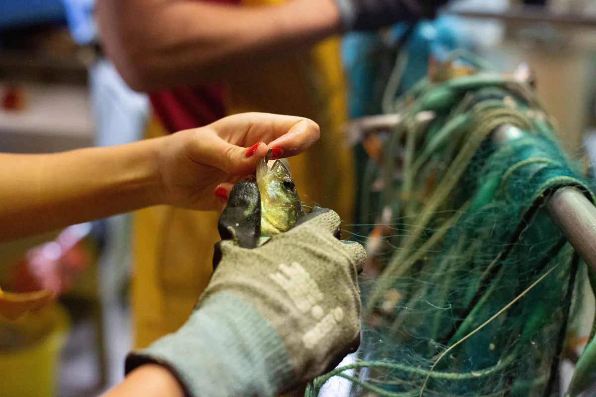 Passez une demi-journée avec un pêcheur passionné