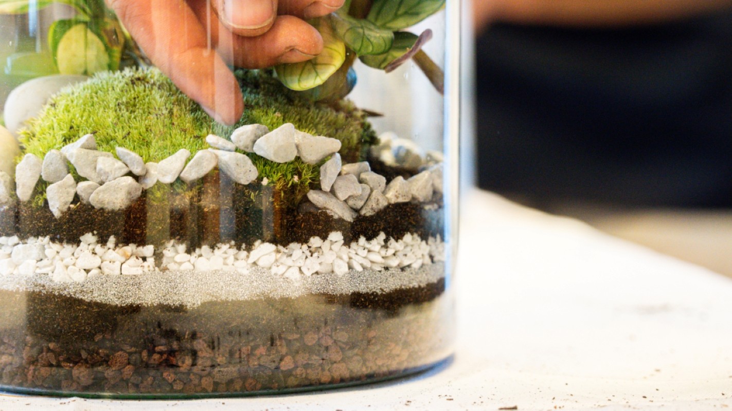Wecandoo - Créez votre terrarium taille M
