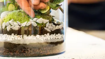 Créez votre terrarium taille M