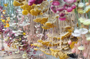 Wecandoo - Réalisez votre création de fleurs séchées