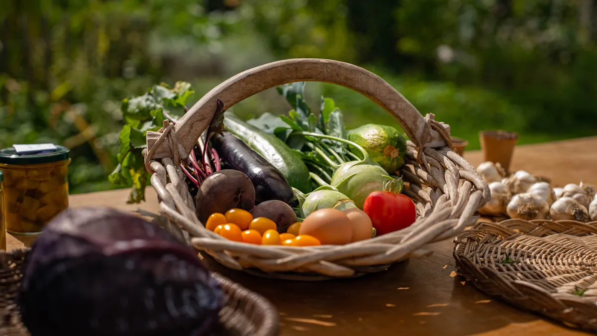 Initiez-vous à la permaculture