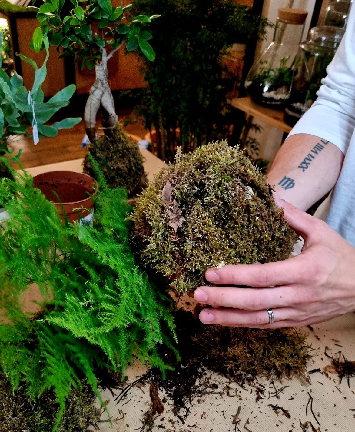 Wecandoo - Réalisez votre kokedama