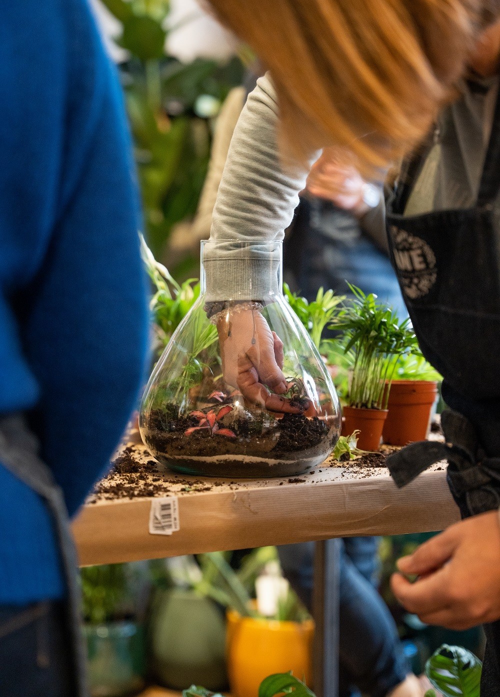 Wecandoo - Composez votre grand terrarium (L)