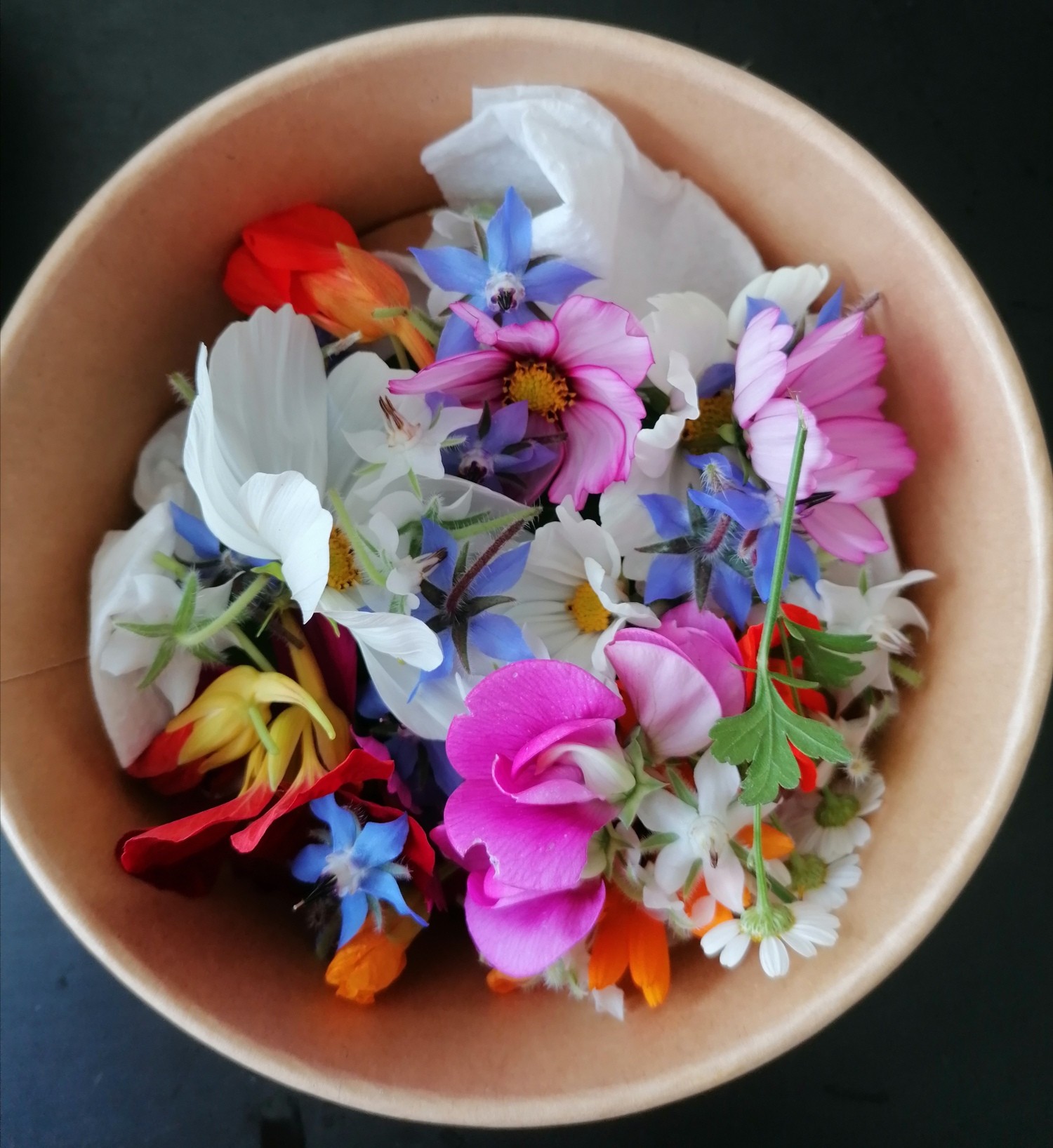 Cueillez et cuisinez des fleurs comestibles