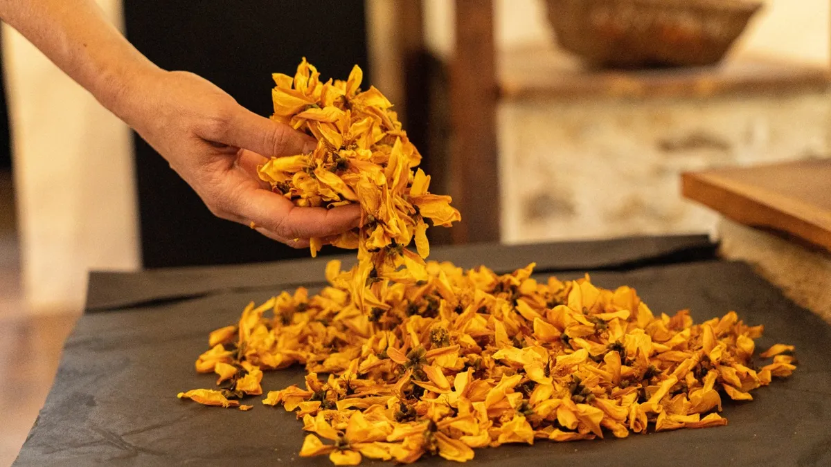 Fabriquez votre aquarelle