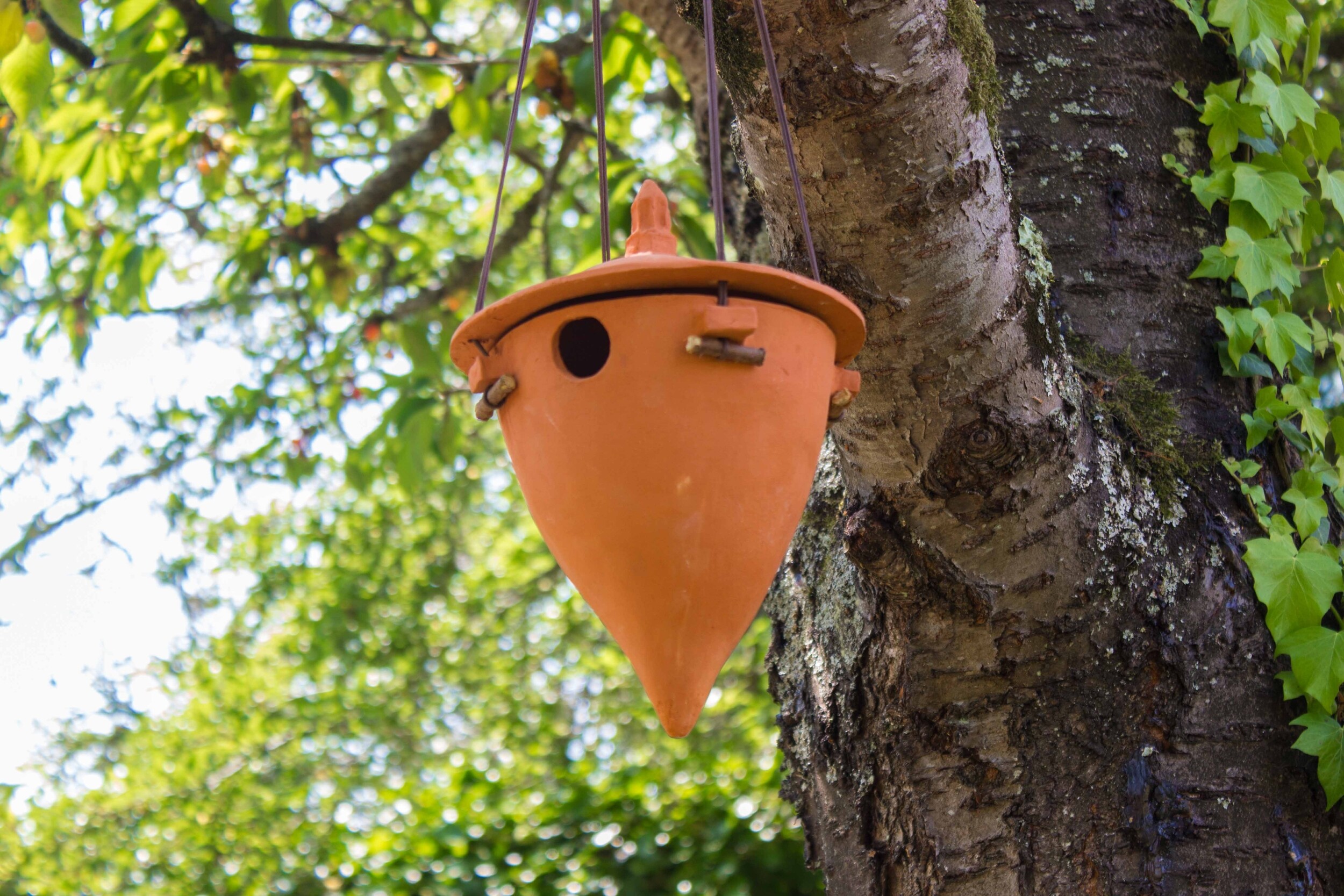 Wecandoo - Modelez votre nichoir à oiseaux