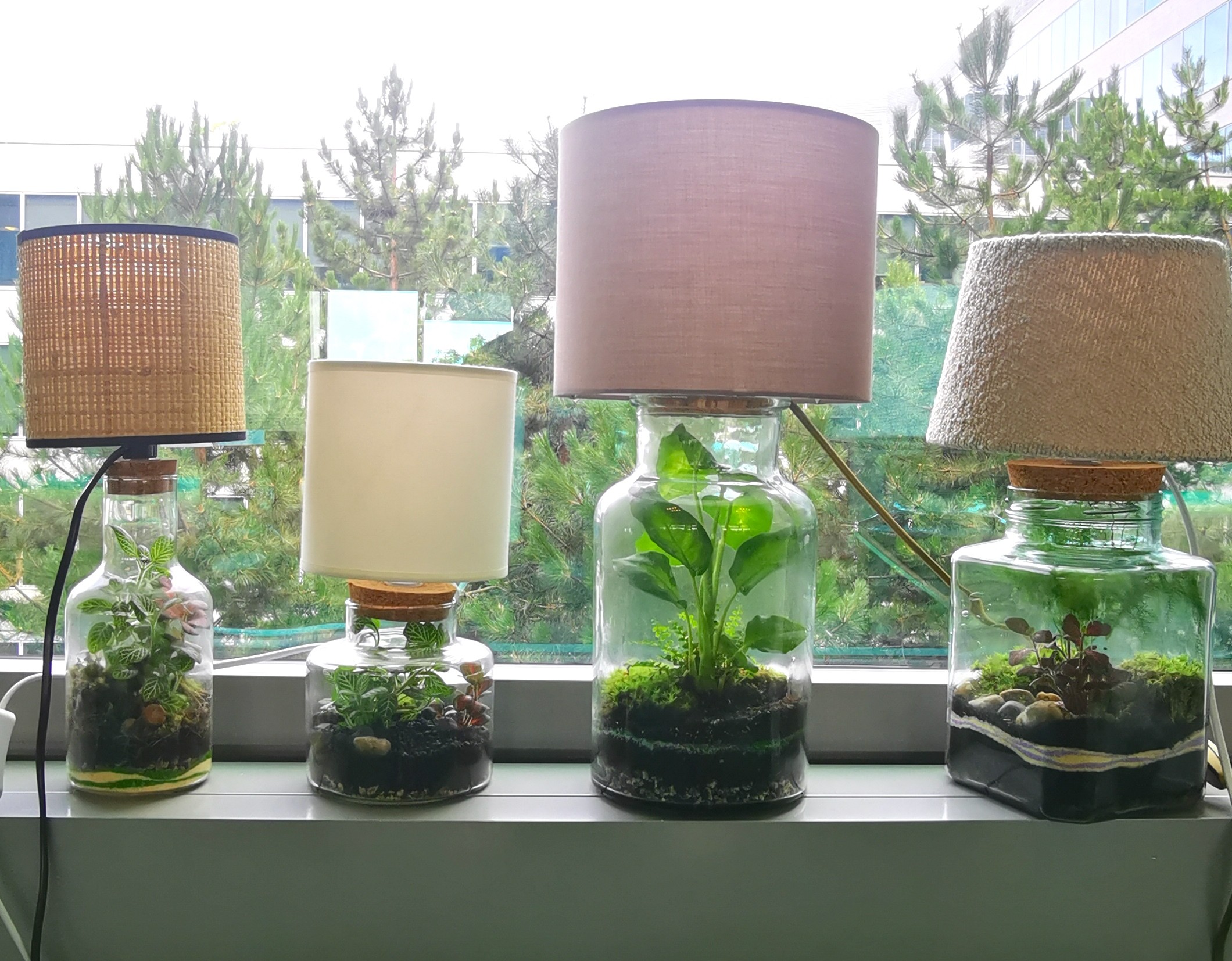 Wecandoo - Créez votre lampe terrarium