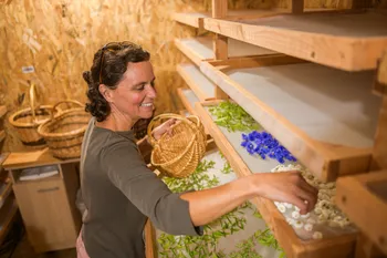 Composez votre tisane de plantes médicinales