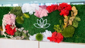 Réalisez votre fresque végétale autour d'un apéro