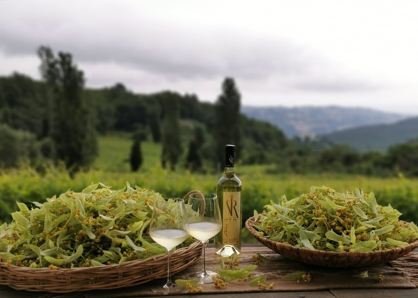 Wecandoo - Visitez un domaine viticole et dégustez 6 vins