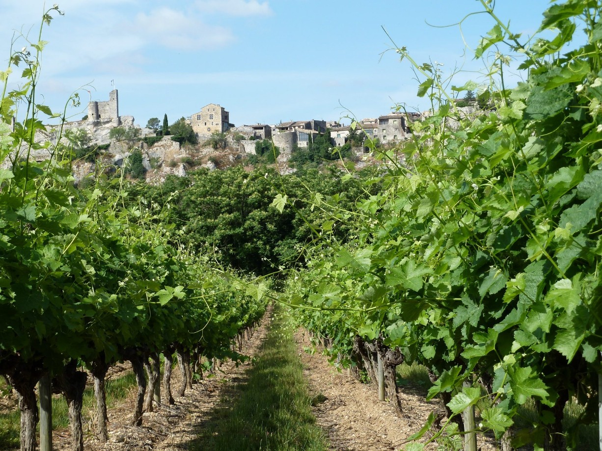 Wecandoo - Visitez un caveau du domaine et dégustez ses vins