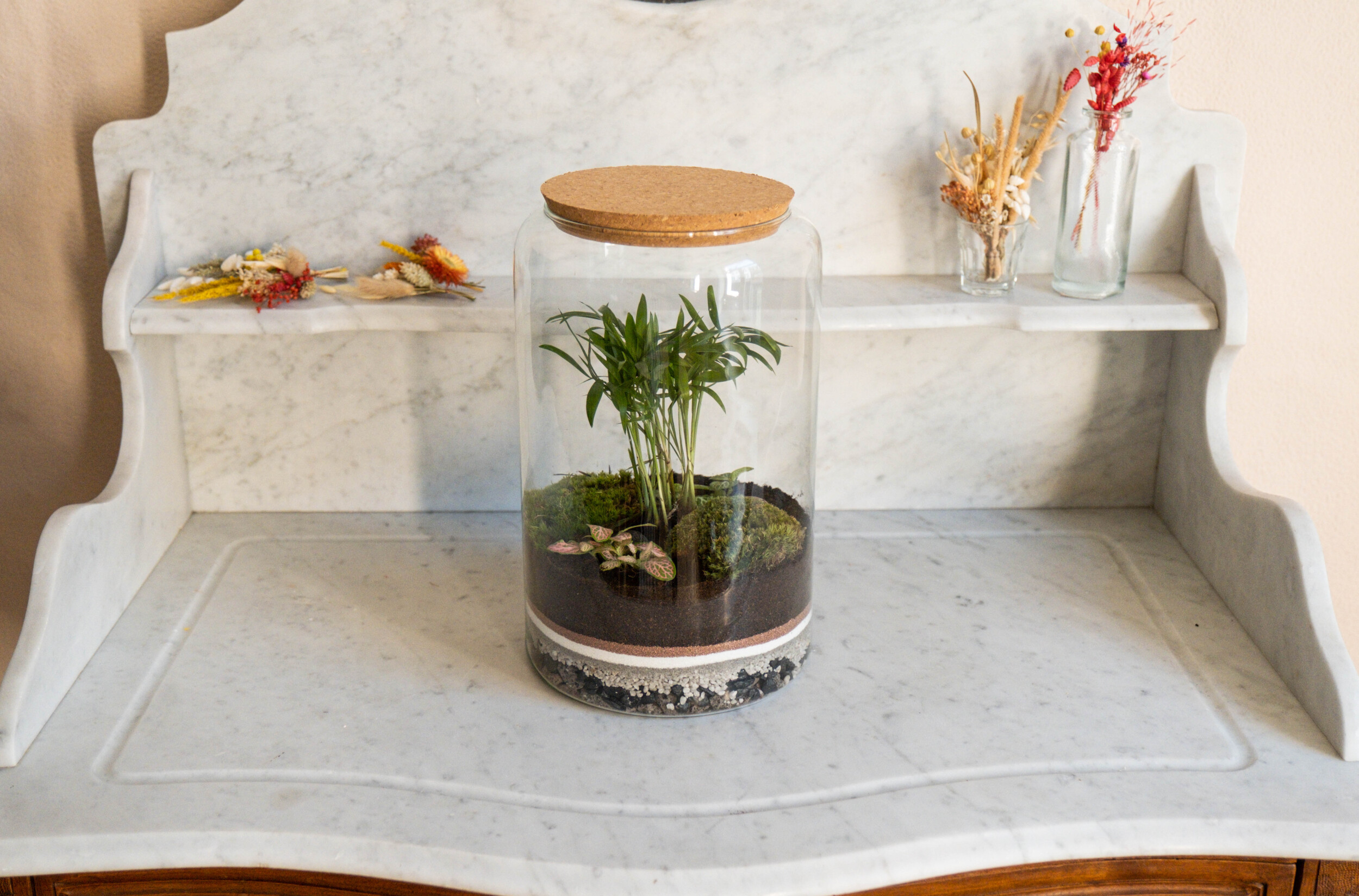 Composez votre terrarium à Wavre