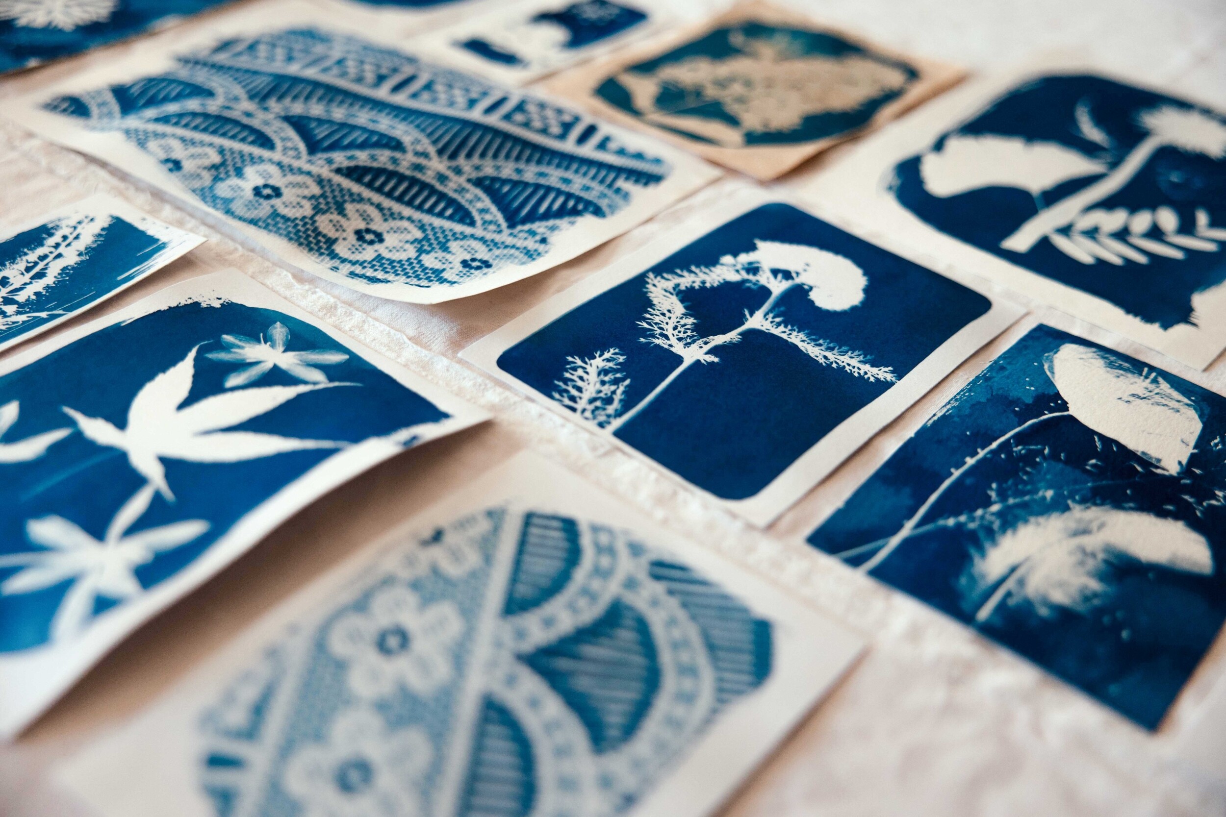 Wecandoo - Initiez-vous au cyanotype