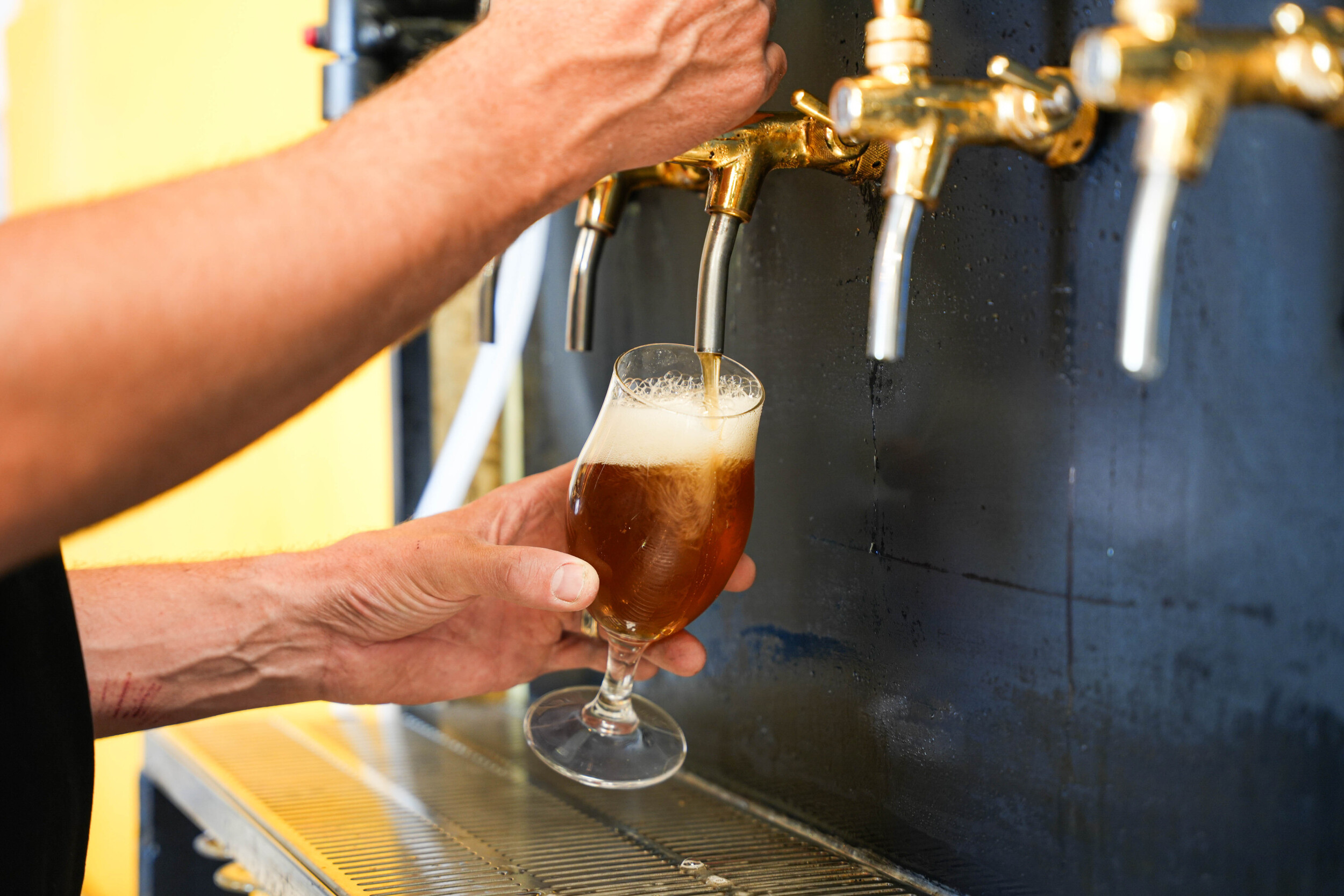 Wecandoo - Visitez une brasserie et dégustez des bières