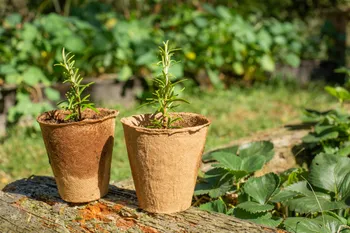 Cultivez votre potager en permaculture