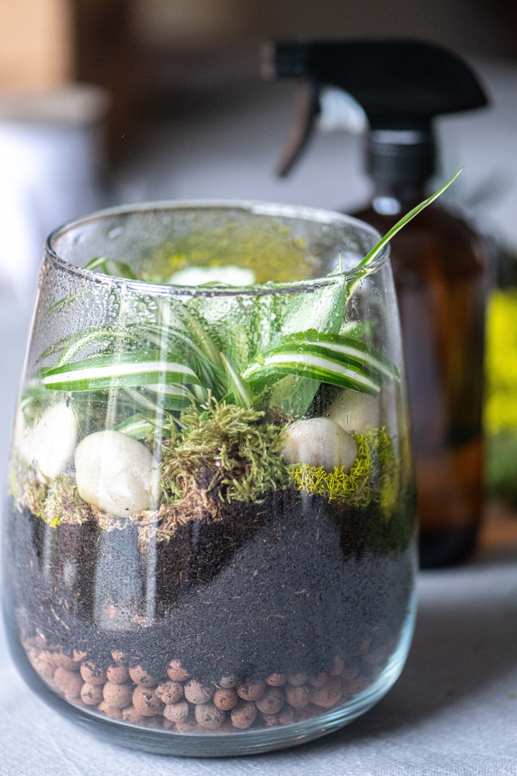 Réalisez votre terrarium de taille M