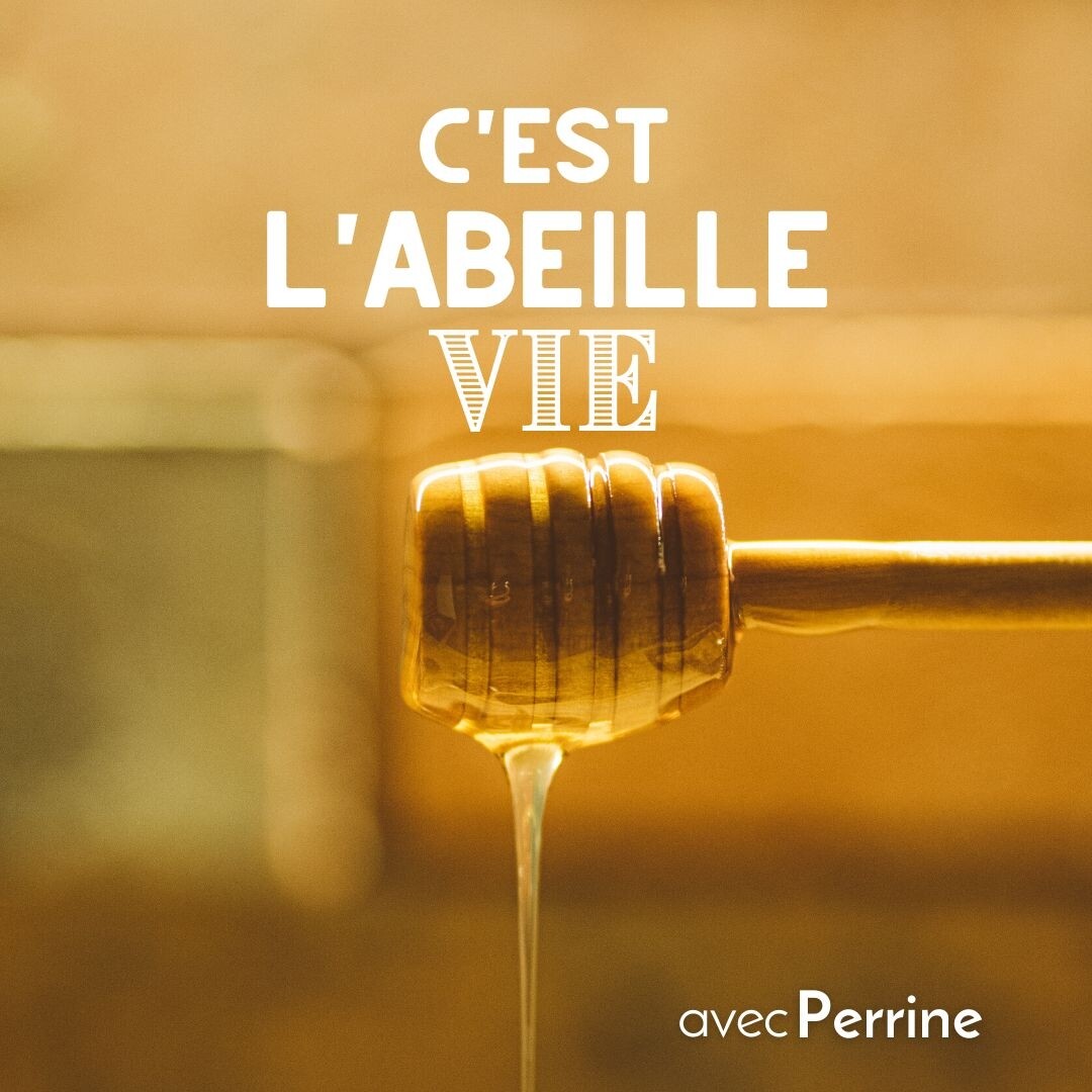 Apprenez à déguster du miel à Bordeaux
