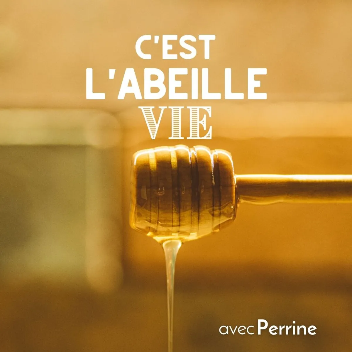 Apprenez à déguster du miel