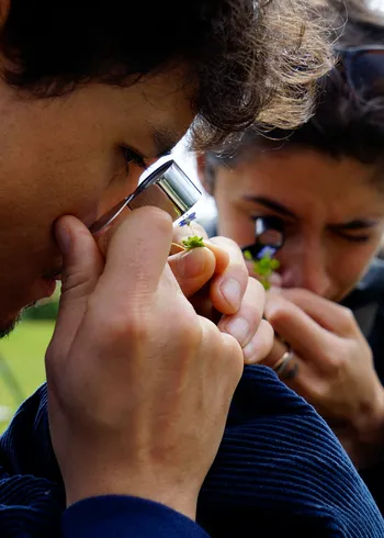 Découvrez les plantes comestibles