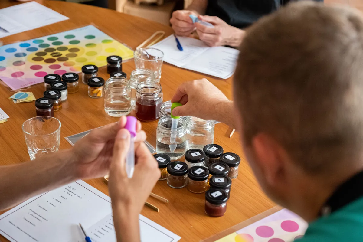 Initiez-vous à la dégustation de chocolat