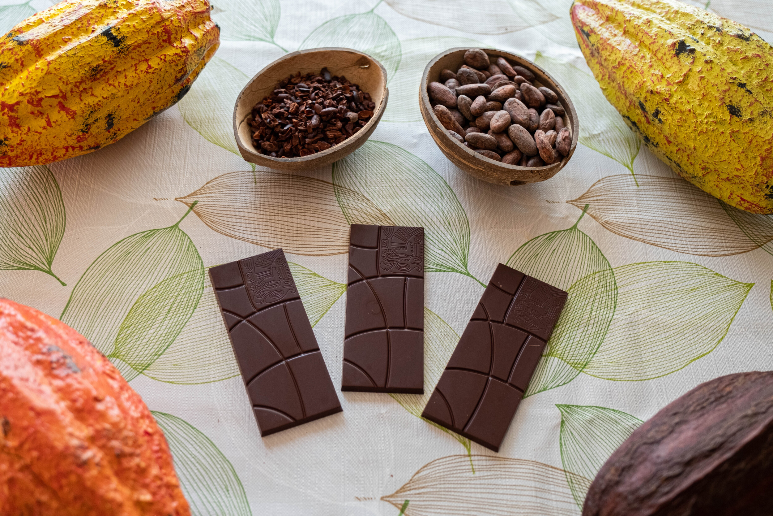 Make your own bean-to-bar chocolate bars