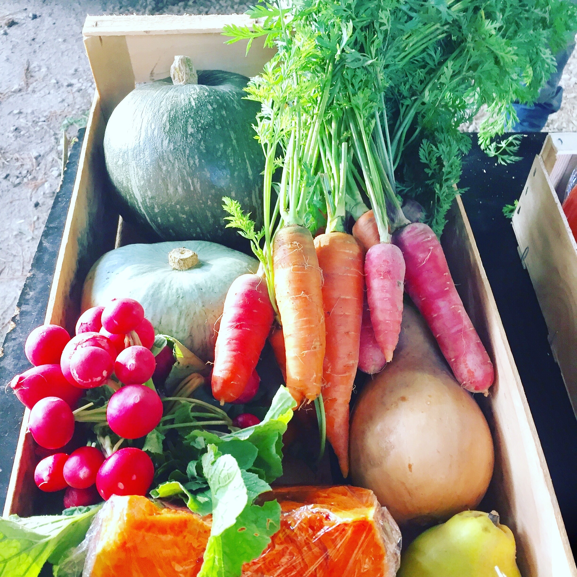 Visitez une ferme en permaculture