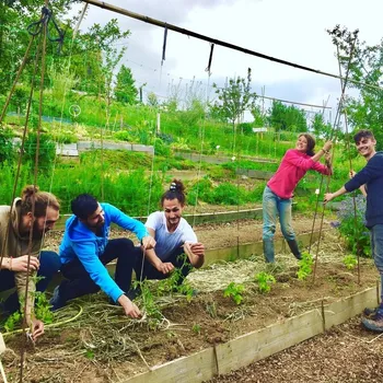Wecandoo - Devenez un jardinier permacole sur une journée