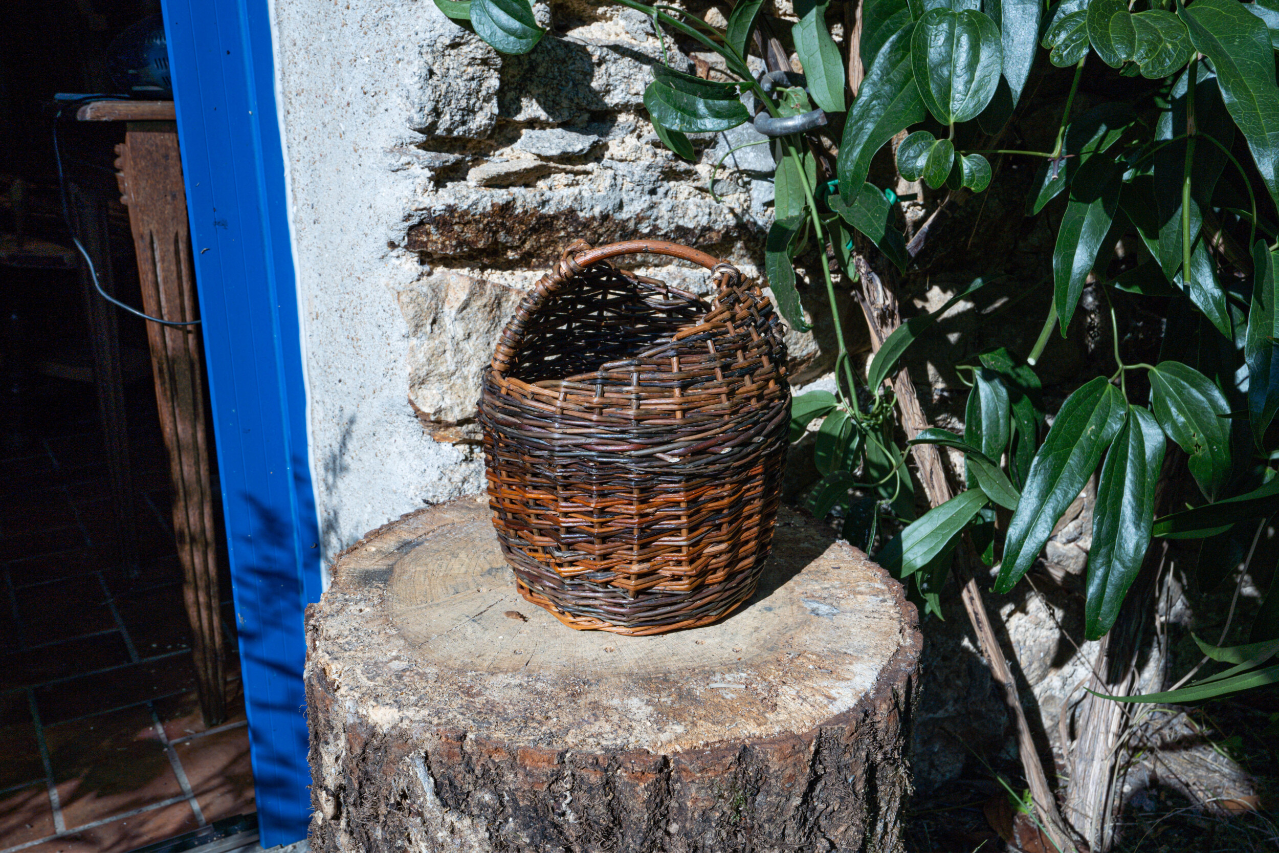 Initiez-vous à la vannerie