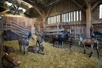 Visitez une ferme et dégustez un apéritif en groupe
