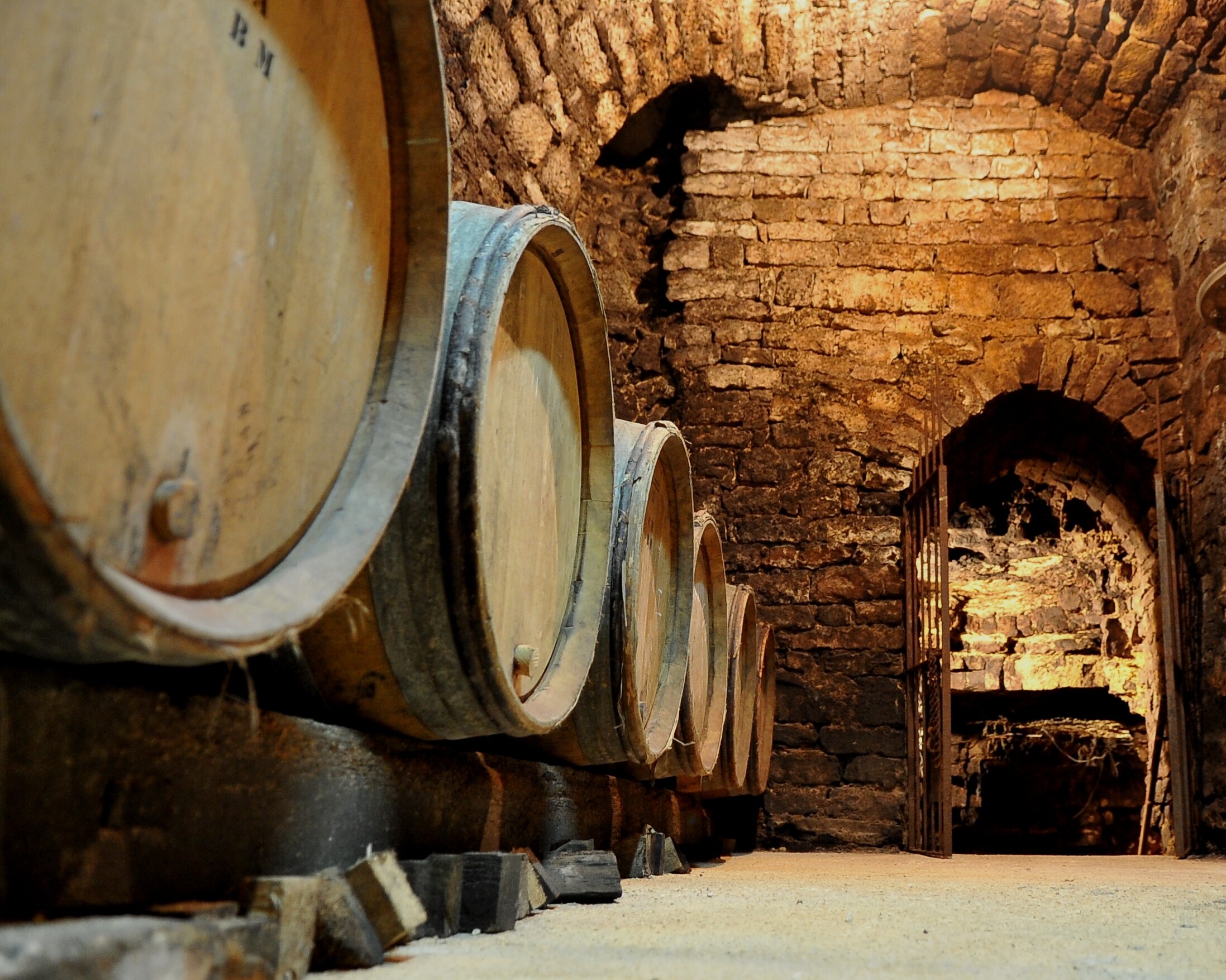 Visitez un vignoble en Bourgogne et dégustez du vin